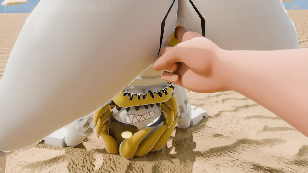 You Met Nikki at Beach (SeLine)