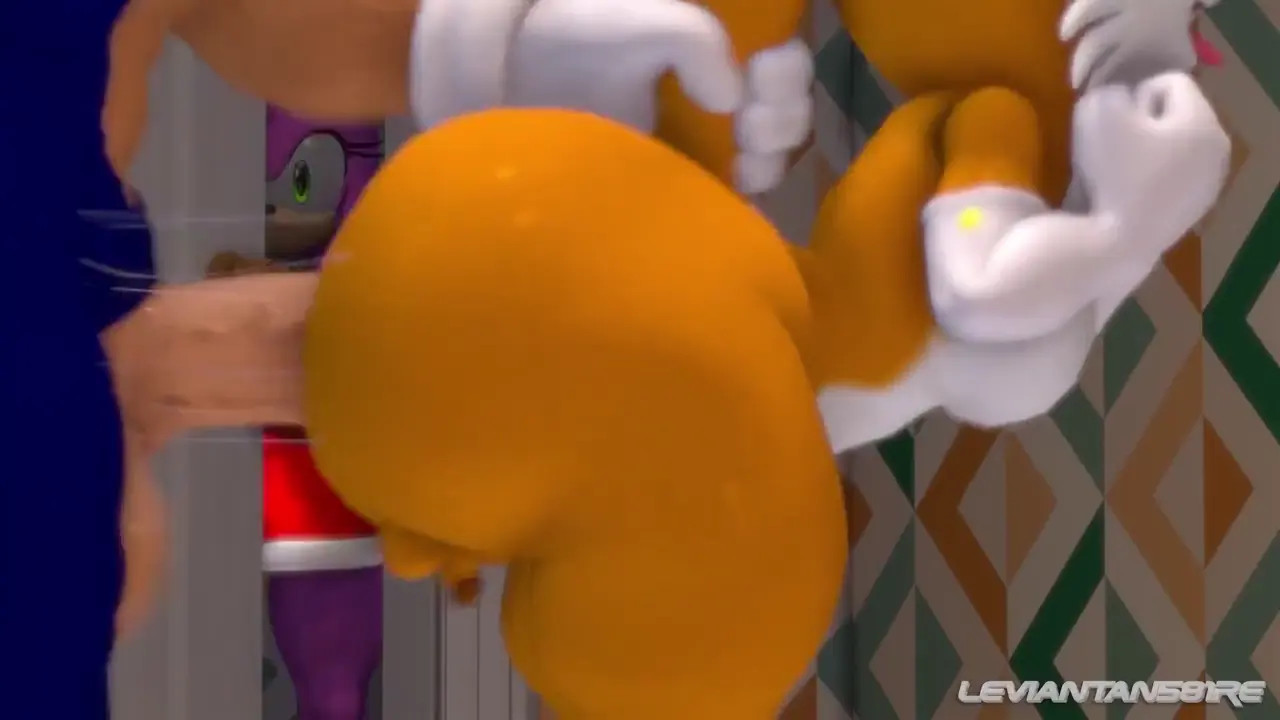 Sonic's Bitch