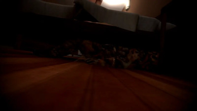 Moisture under the bed