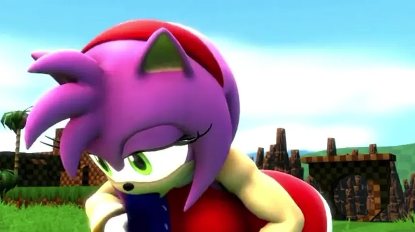 Amy spending time with Sonic
