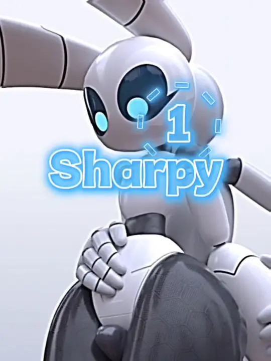 2B vs Shappy/PMV