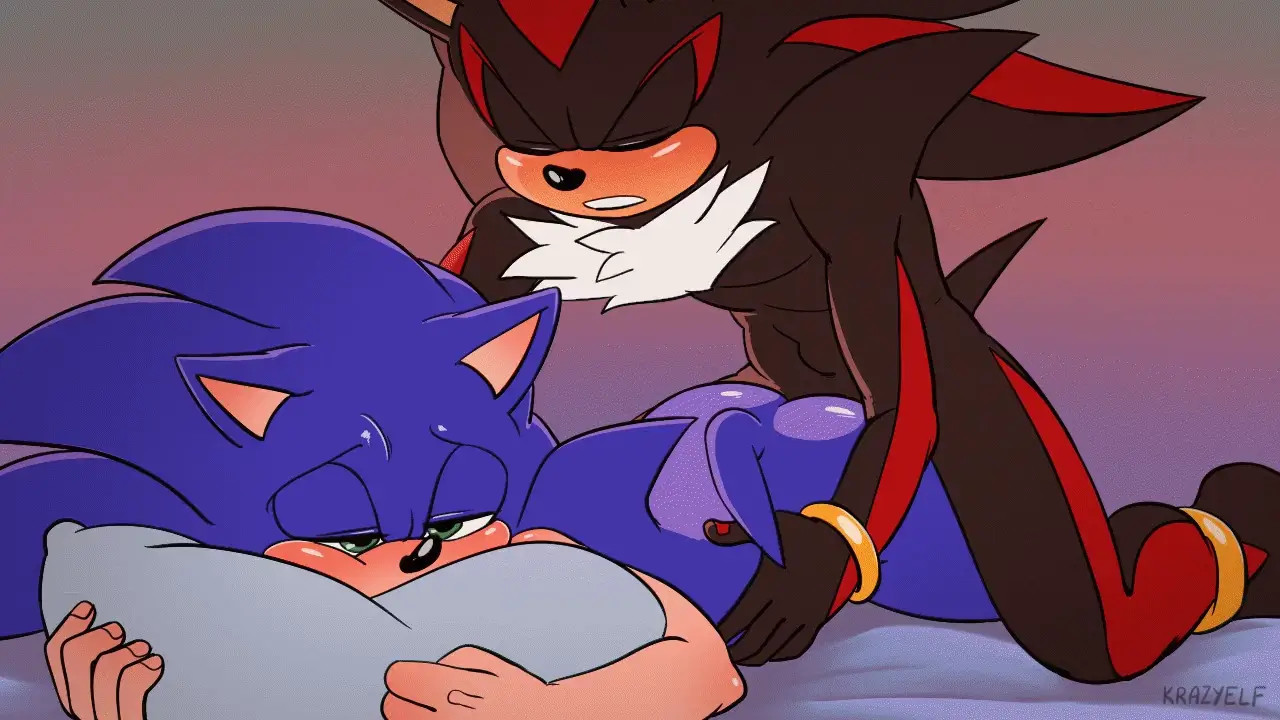 Shadow and Sonic
