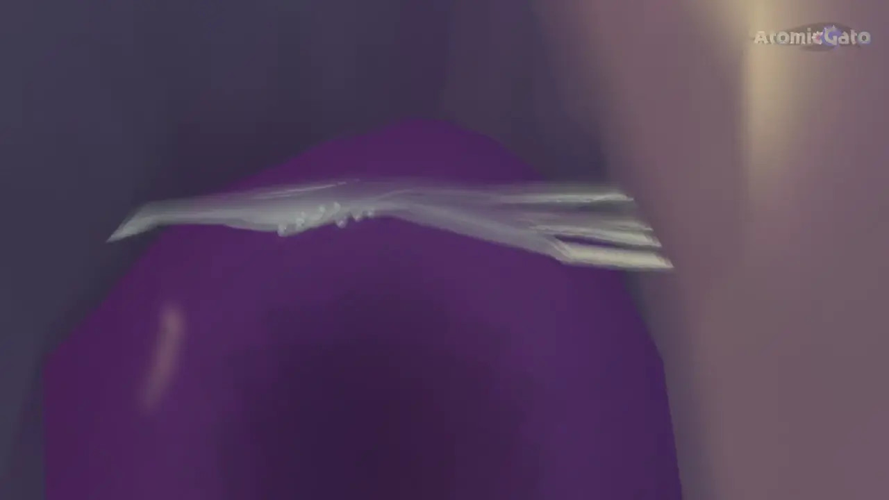 POV: Gothitelle Rimjob