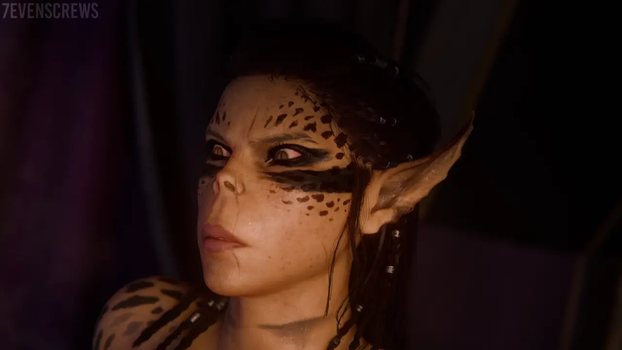 High Standards | Baldur's Gate 3