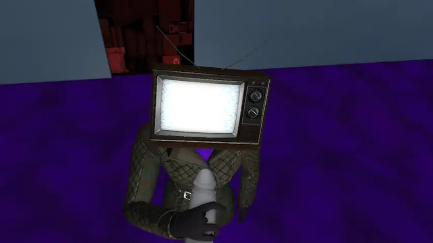 Tv woman x simp camera man