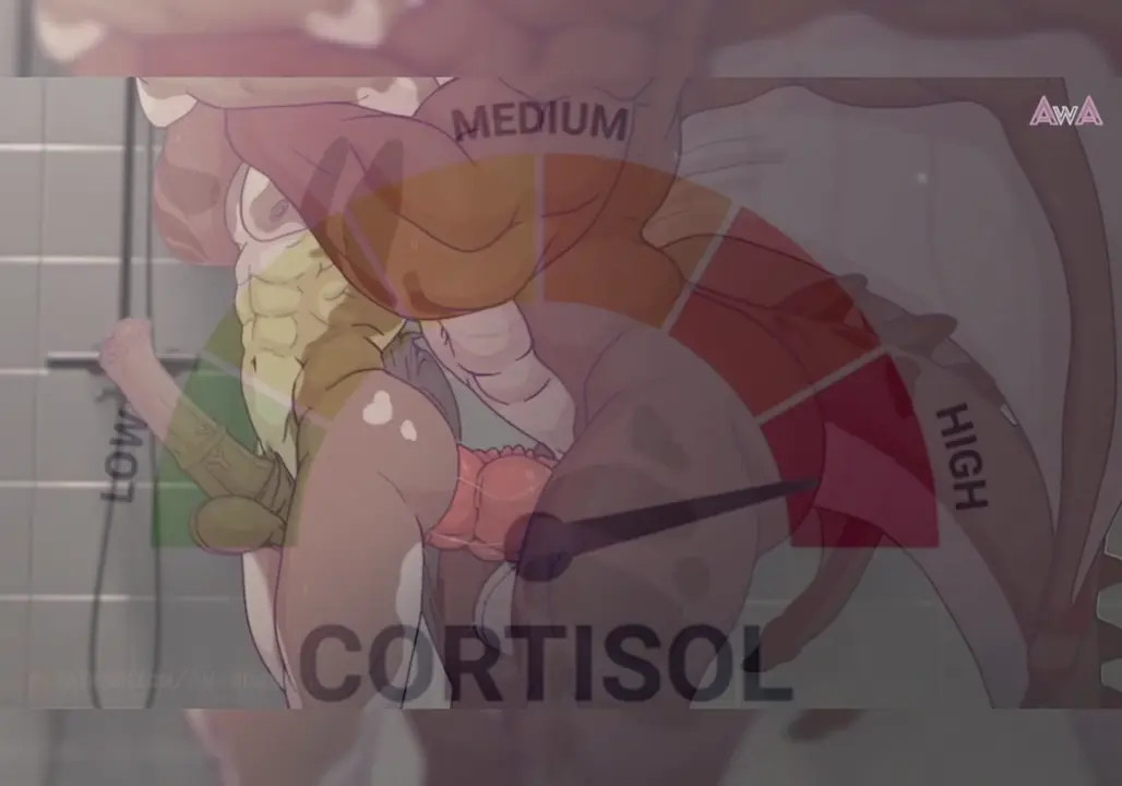 High cortisol vs Low cortisol
