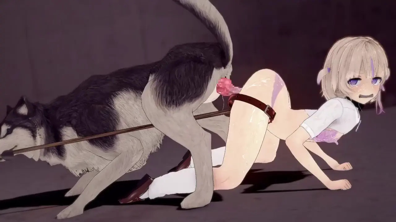 dog sex