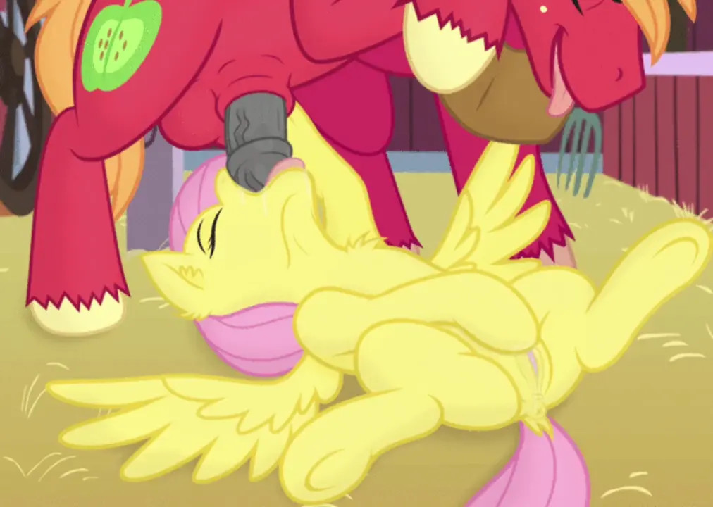 Big Macintosh X Fluttershy