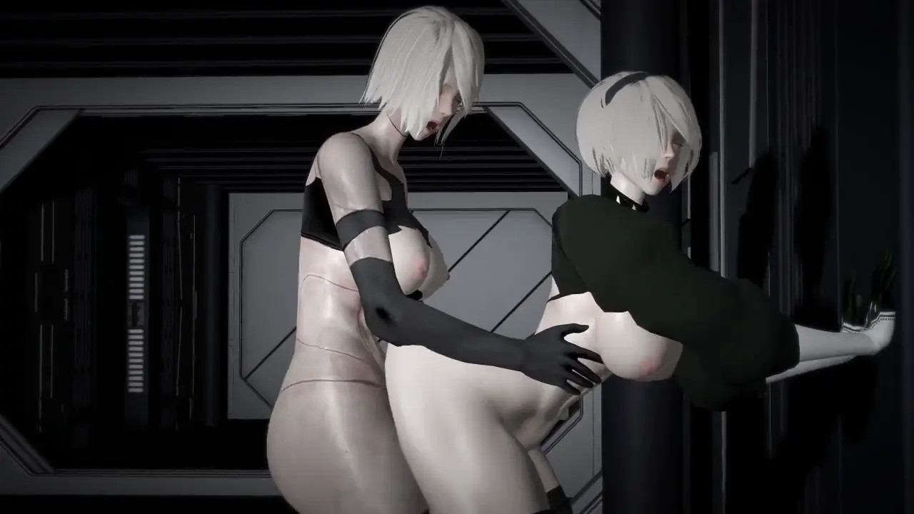 A2 X 2B