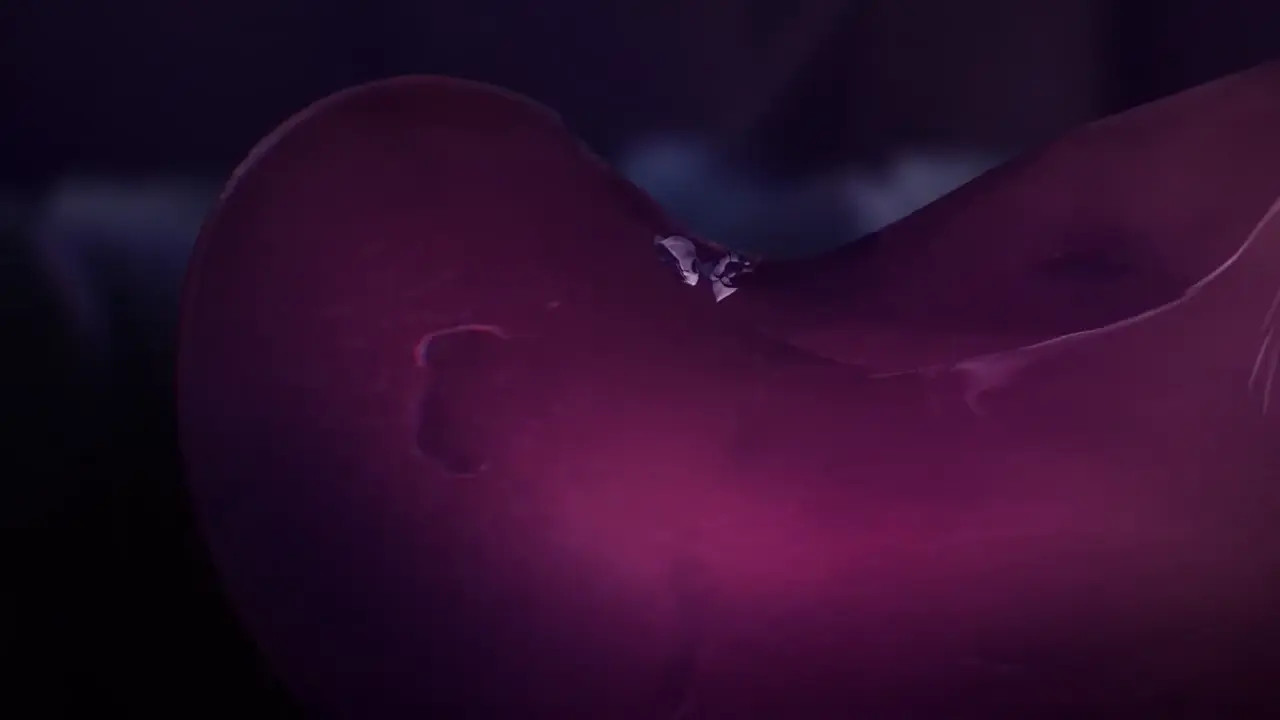 Oral vore by ondieony
