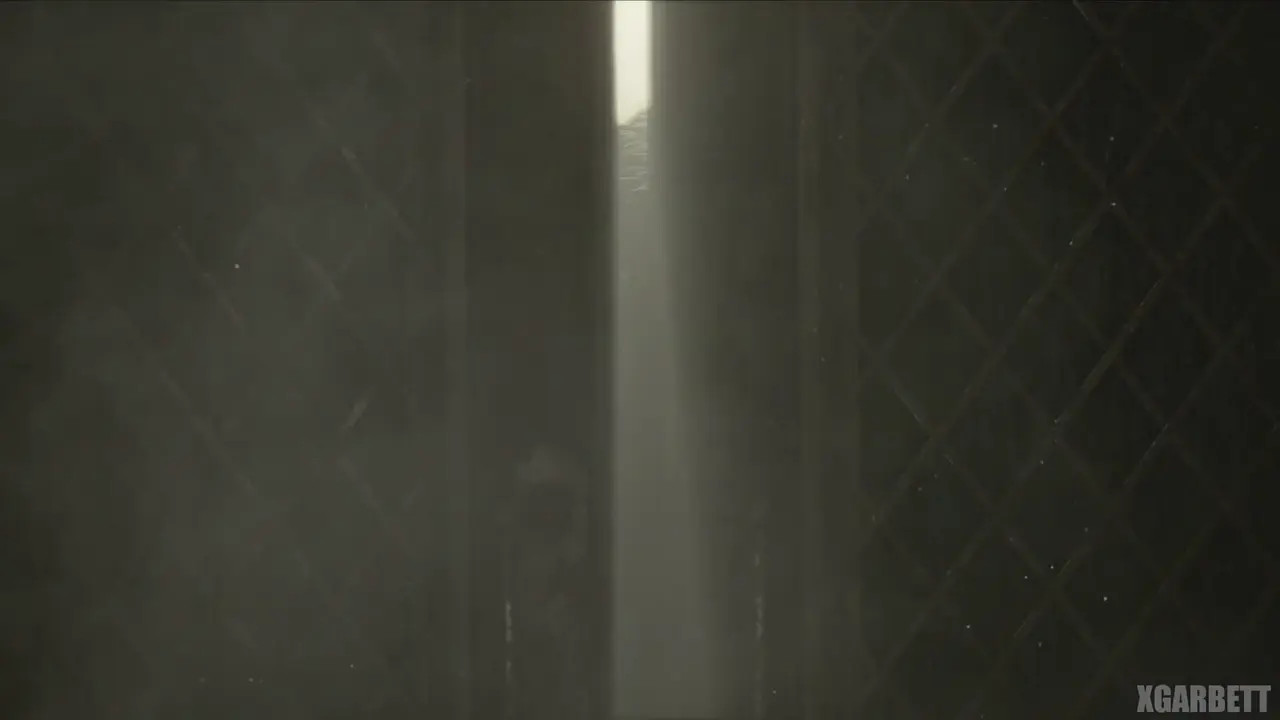 Leon Remembers his Past