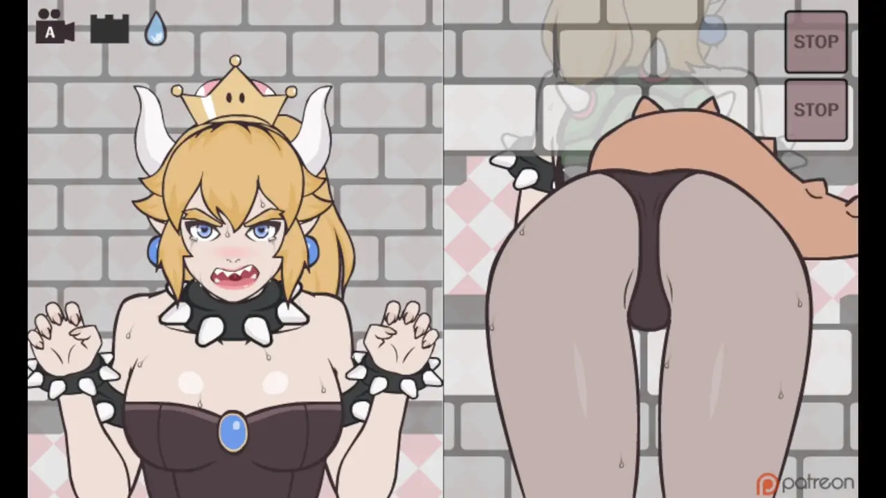 Help Bowser!!
