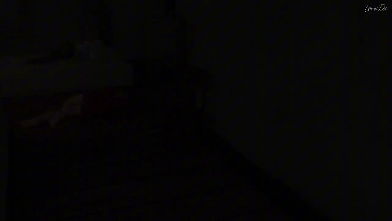 Fern: Midnight Mission