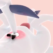 Anal vore by kriskawaii