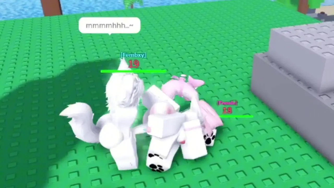 Pawjob Aftermath