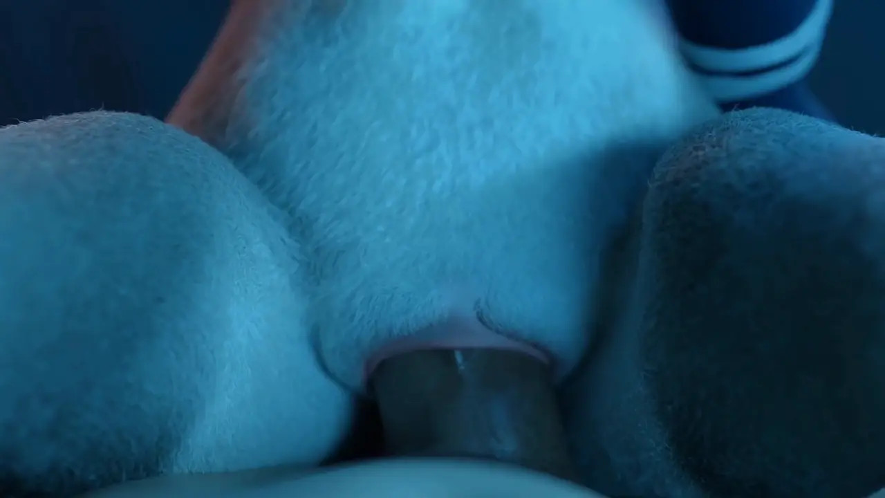 Judy night sex
