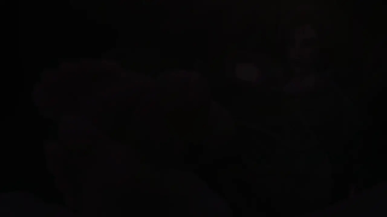 Kaisa [haadxee]