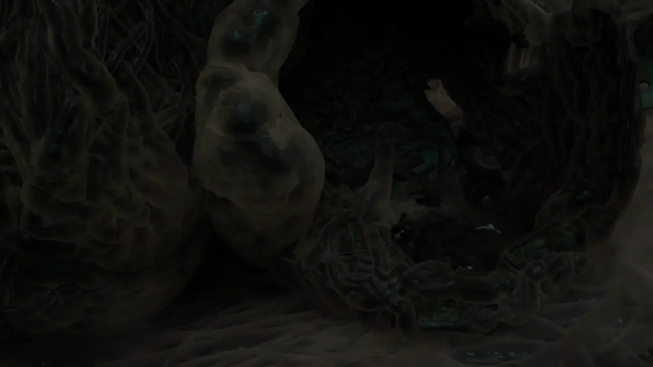 Lara Croft used by Mutant Wasps (Extended Trailer)