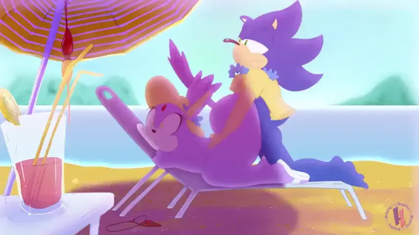 Sonic and Blaze Vocation
