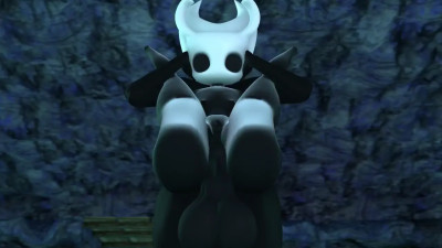 Hollow knight x hornet