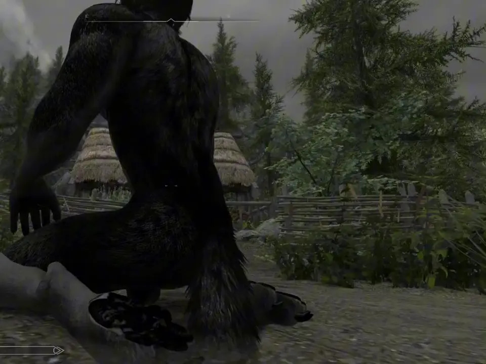 Skyrim Skyfurry Modded Skyrim