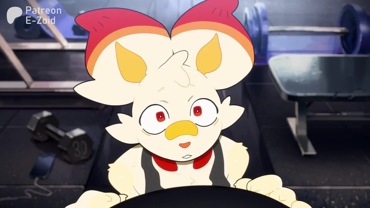 Gym Partners