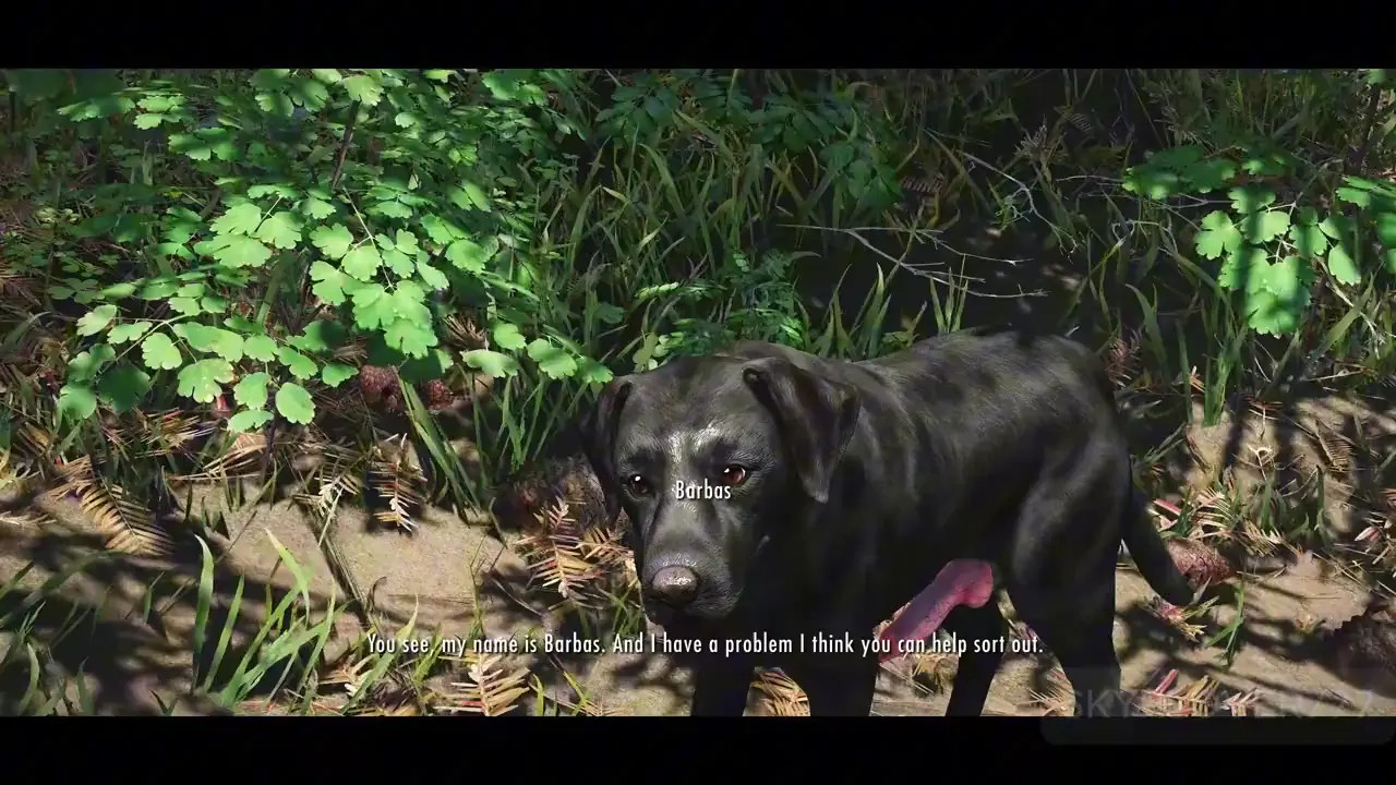 The first meeting with Barbas