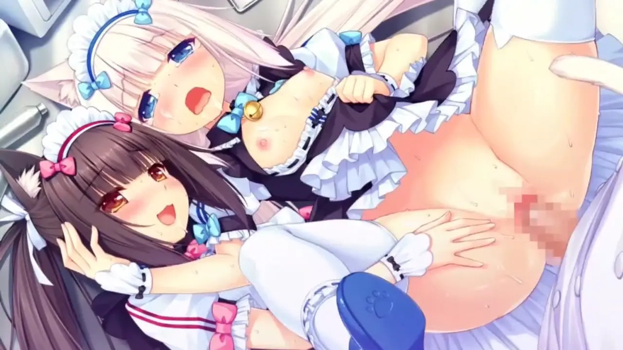 Nekopara HMV