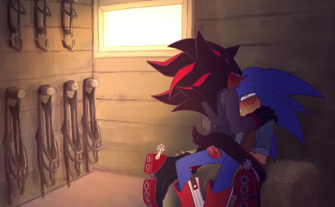 Sonic and Shadow [Steamy Buns]