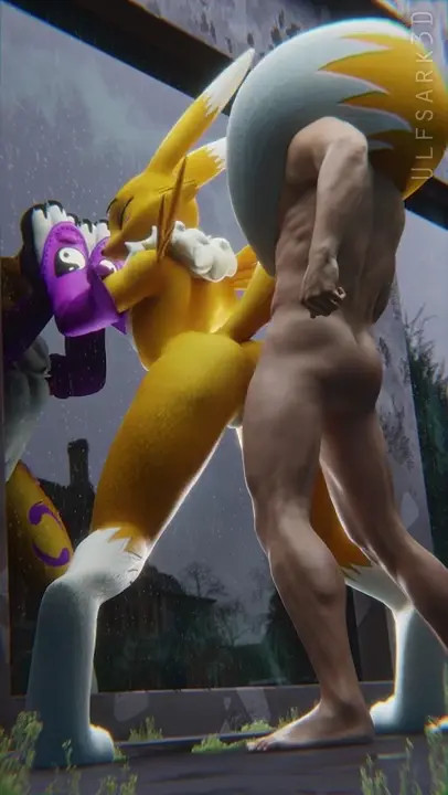 Renamon Standing Doggystyle Pov
