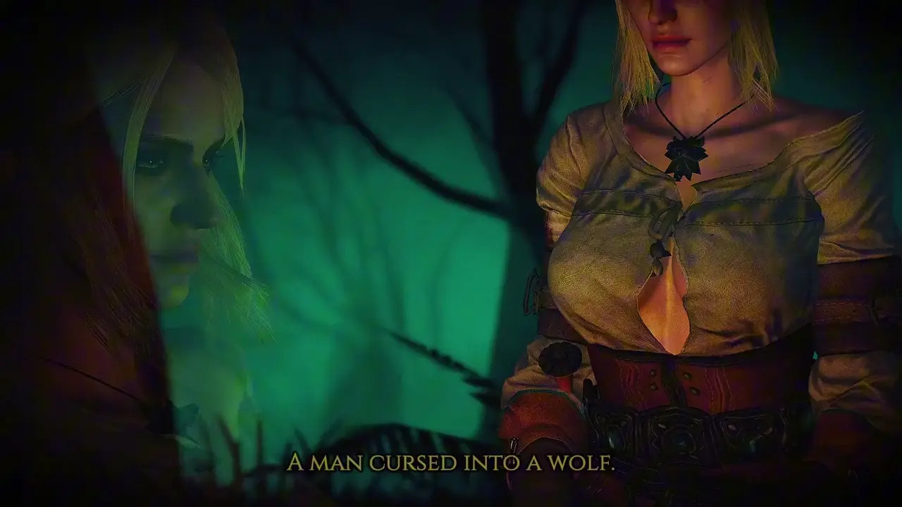 While the Witcher Was Away | Preview