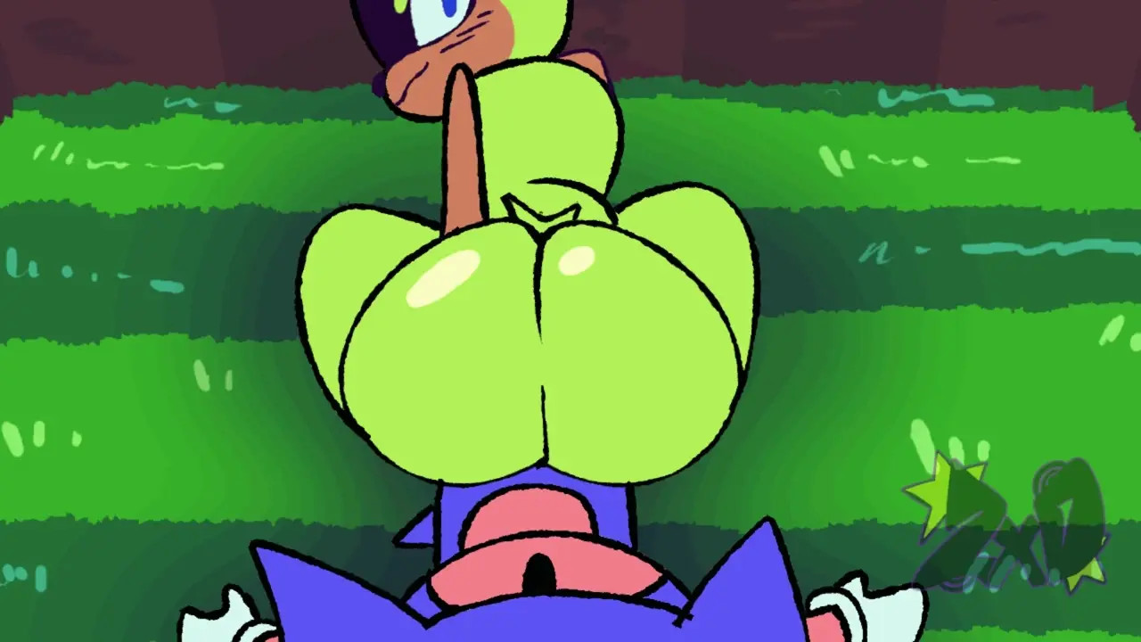 SONIC X SURGE ANIMATION