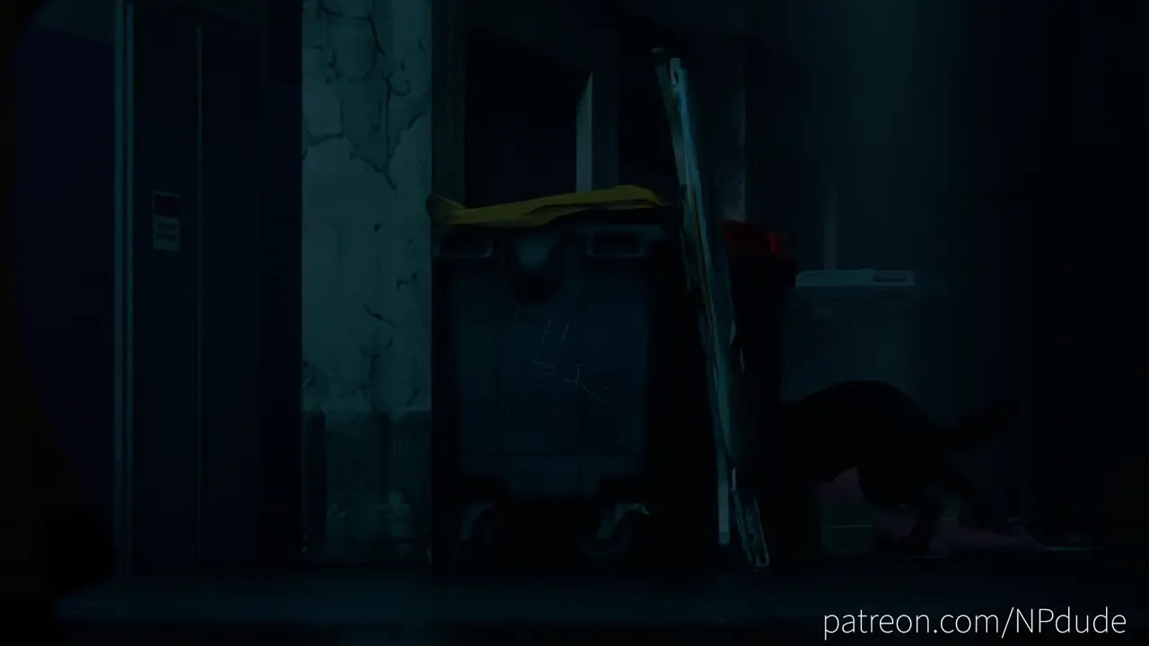 Black Cat & Dog