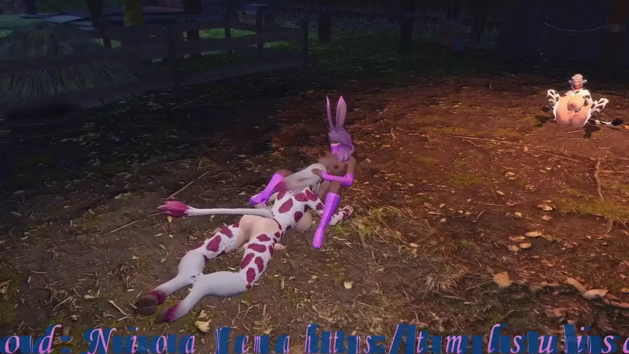 Breeding the Futa Cow