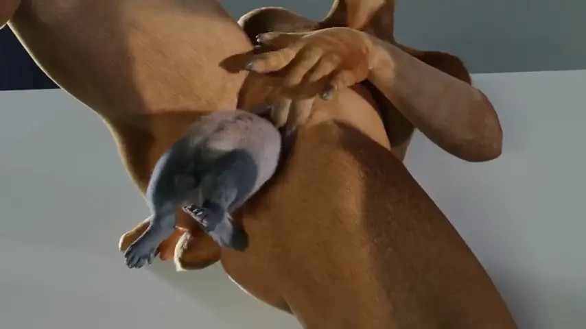 Unbirth by nullart/untied verbegar