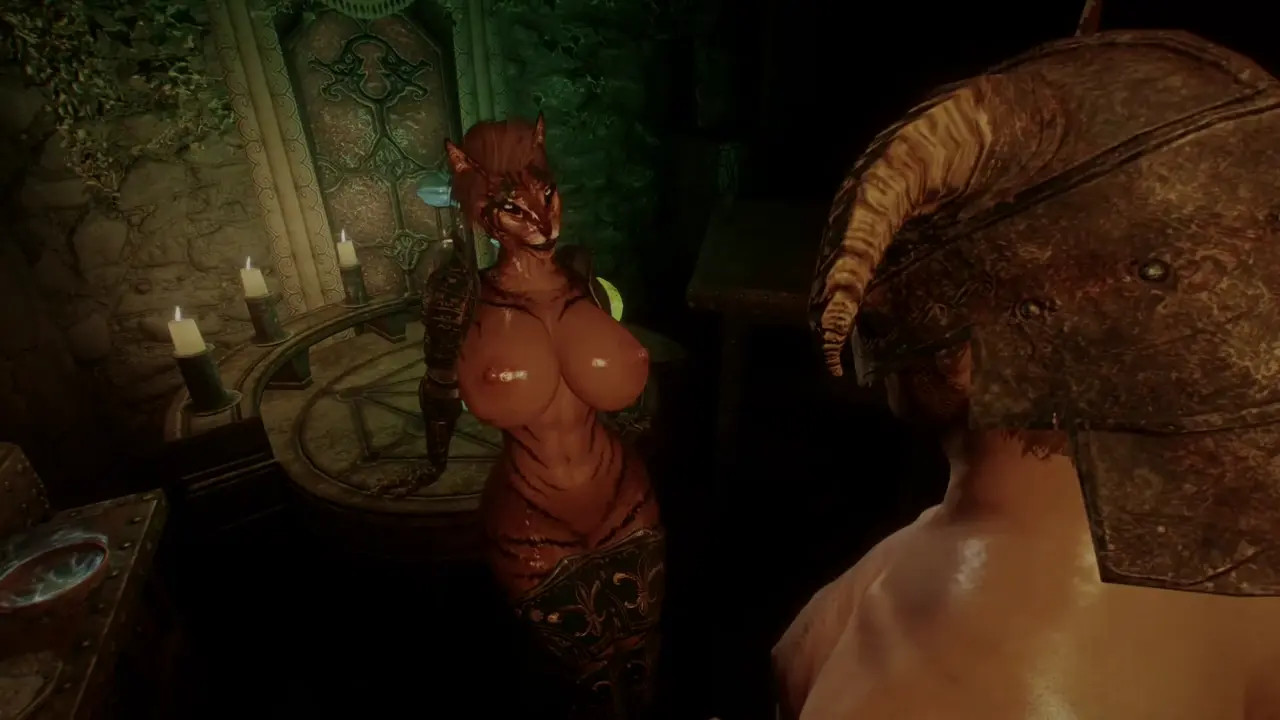 Kahjiit knight is fucking with Dovakin