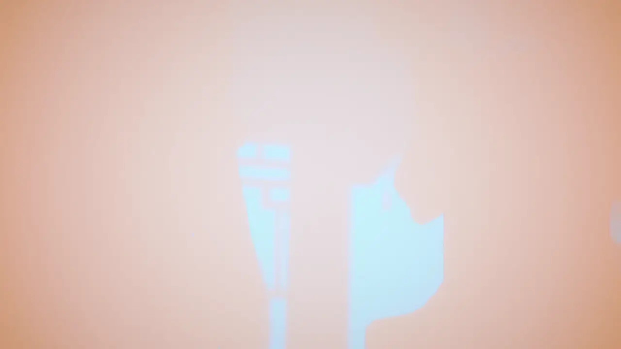 Pardo Felis - Chamosan