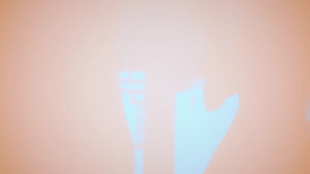 Pardo Felis (Cloth) - Chamosan