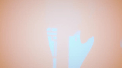 Pardo Felis (Cloth) - Chamosan