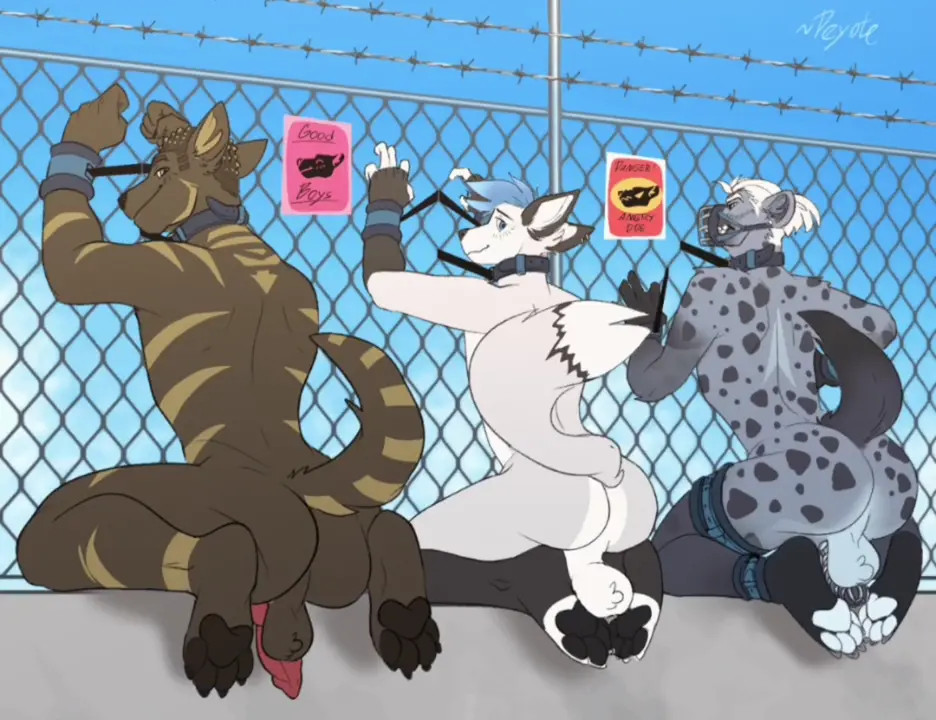 The Boys Are Waiting