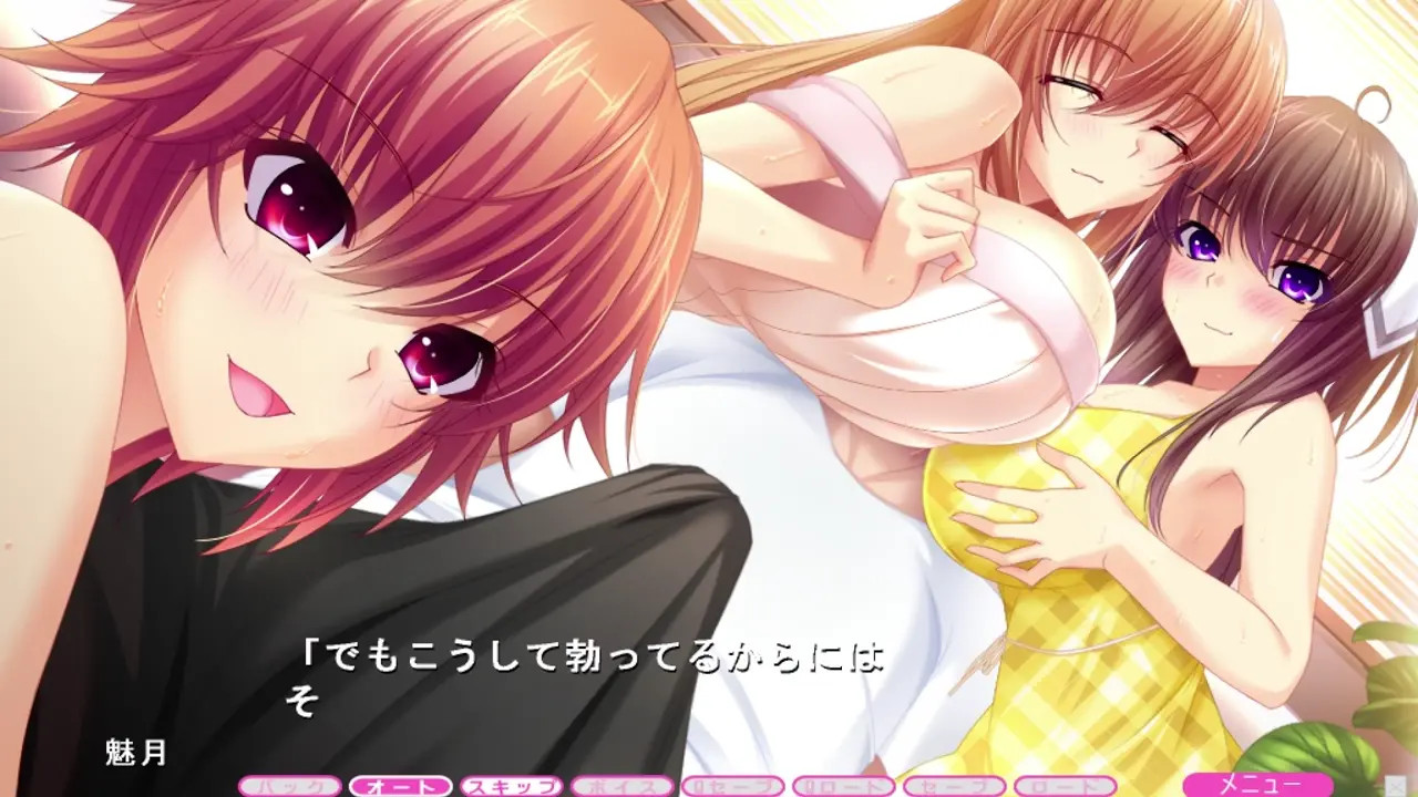 VN Ane to Osananajimi wa Naka ga Ii! ~"Ninben" Tsuitenaishi...~ Harem