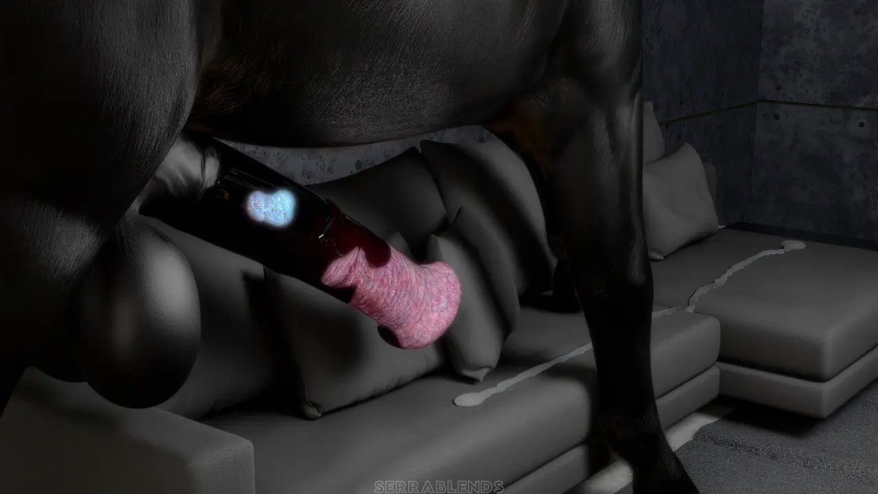 Stud In Black Climax