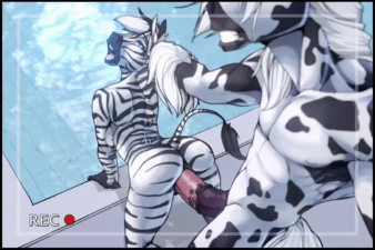 Zebras Fucking In The Pool