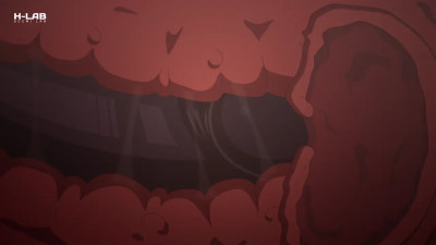 Mirko vs Nomu (4K) [H-Lab]