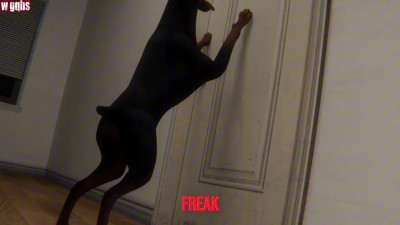 Ruff Sex Poppers pmv