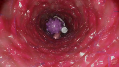 Cock vore by saunasaur