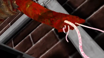 [HMV] [INSECT] MMD sex with insect 3