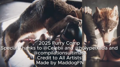 Furry Compilation 2025 Part 2