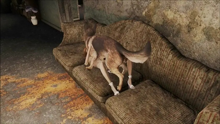 FO4 Dogmeat Compilation