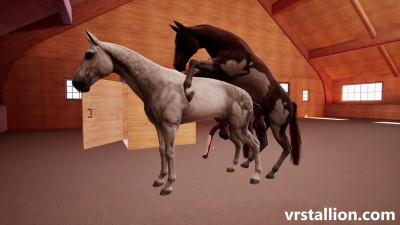 Gay Horses Fucking | VR Stallion 2.10 Gameplay